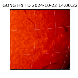 gong - 2024-10-22T14:00:22