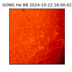 gong - 2024-10-22T16:00:02