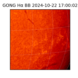 gong - 2024-10-22T17:00:02