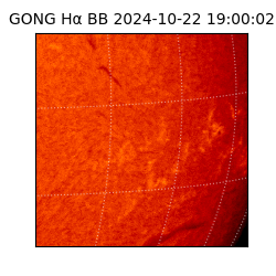 gong - 2024-10-22T19:00:02