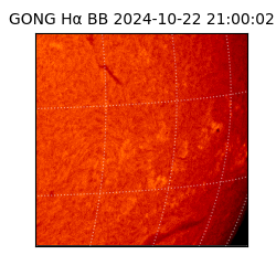 gong - 2024-10-22T21:00:02