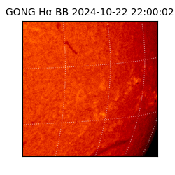 gong - 2024-10-22T22:00:02