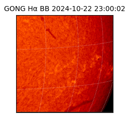 gong - 2024-10-22T23:00:02