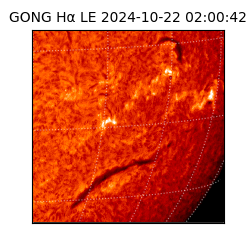 gong - 2024-10-22T02:00:42