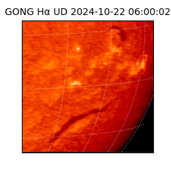 gong - 2024-10-22T06:00:02