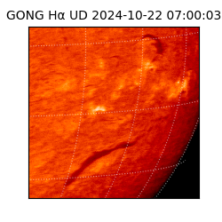 gong - 2024-10-22T07:00:03