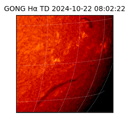 gong - 2024-10-22T08:02:22