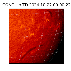 gong - 2024-10-22T09:00:22