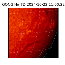 gong - 2024-10-22T11:00:22