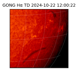 gong - 2024-10-22T12:00:22