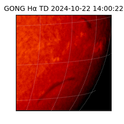 gong - 2024-10-22T14:00:22