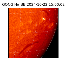 gong - 2024-10-22T15:00:02