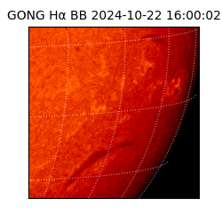 gong - 2024-10-22T16:00:02