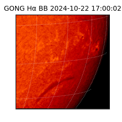 gong - 2024-10-22T17:00:02