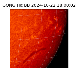 gong - 2024-10-22T18:00:02