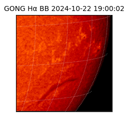 gong - 2024-10-22T19:00:02