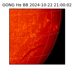 gong - 2024-10-22T21:00:02