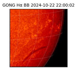 gong - 2024-10-22T22:00:02