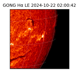 gong - 2024-10-22T02:00:42