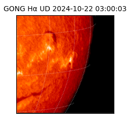 gong - 2024-10-22T03:00:03