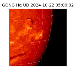 gong - 2024-10-22T05:00:02