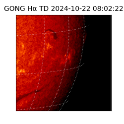 gong - 2024-10-22T08:02:22