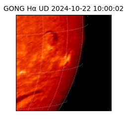 gong - 2024-10-22T10:00:02