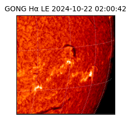 gong - 2024-10-22T02:00:42