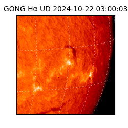 gong - 2024-10-22T03:00:03