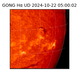 gong - 2024-10-22T05:00:02