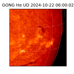 gong - 2024-10-22T06:00:02