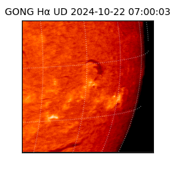 gong - 2024-10-22T07:00:03