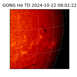 gong - 2024-10-22T08:02:22