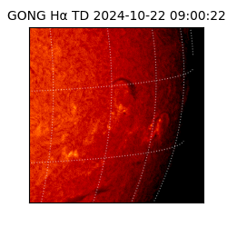 gong - 2024-10-22T09:00:22