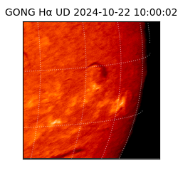 gong - 2024-10-22T10:00:02