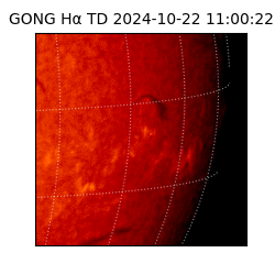 gong - 2024-10-22T11:00:22