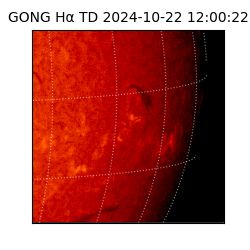 gong - 2024-10-22T12:00:22