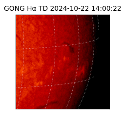 gong - 2024-10-22T14:00:22