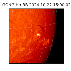 gong - 2024-10-22T15:00:02