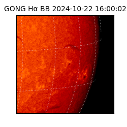 gong - 2024-10-22T16:00:02