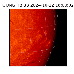 gong - 2024-10-22T18:00:02