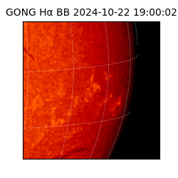 gong - 2024-10-22T19:00:02