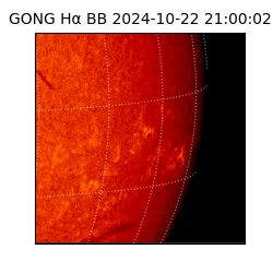 gong - 2024-10-22T21:00:02