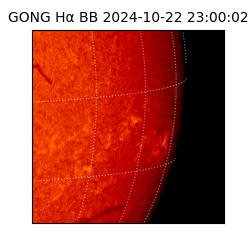 gong - 2024-10-22T23:00:02