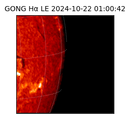 gong - 2024-10-22T01:00:42