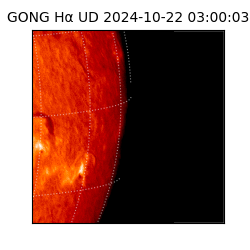 gong - 2024-10-22T03:00:03