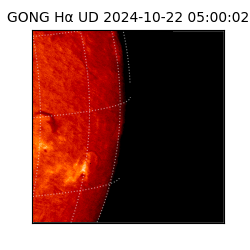 gong - 2024-10-22T05:00:02