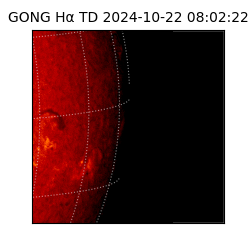 gong - 2024-10-22T08:02:22