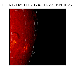 gong - 2024-10-22T09:00:22