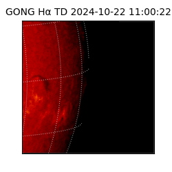 gong - 2024-10-22T11:00:22